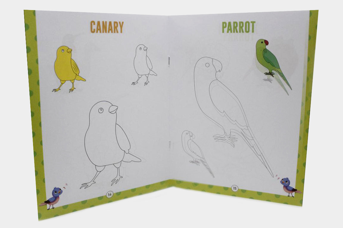 Copy N Colour Birds Book