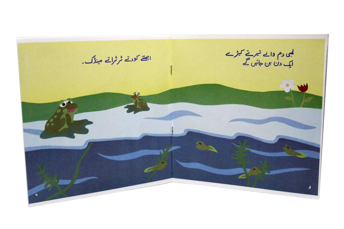 Baday Ho Kar Urdu Book