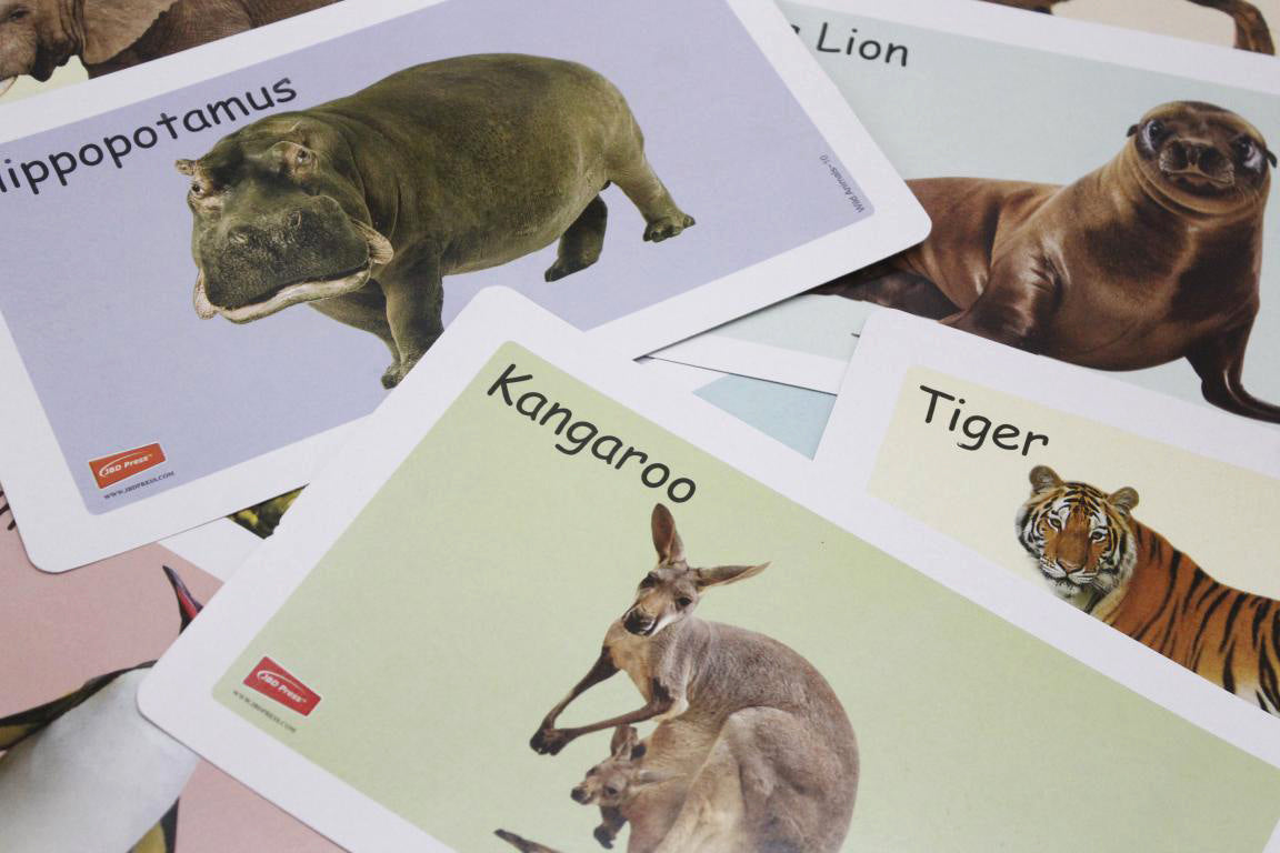 Wild Animals Flash Cards (1016)