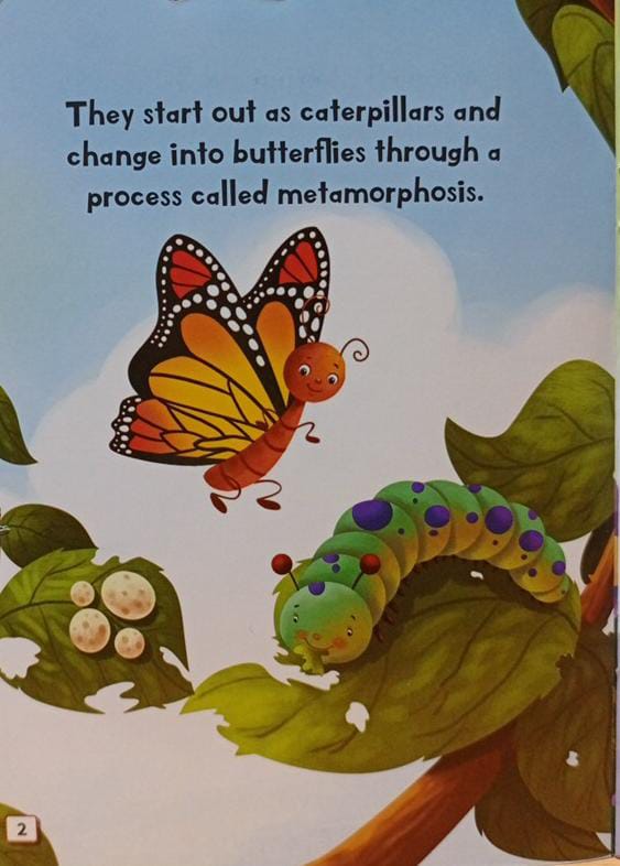 All About Me Butterfly - An Informative Book For Kids