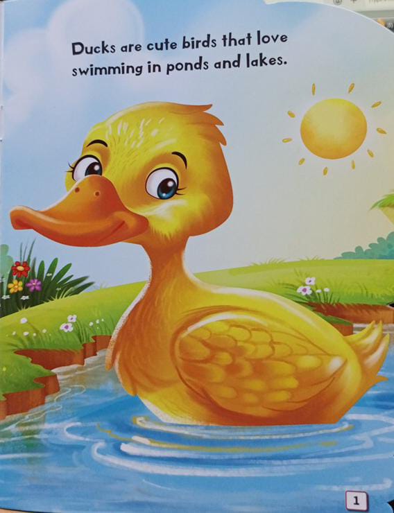 All About Me Duck - An Informative Book For Kids