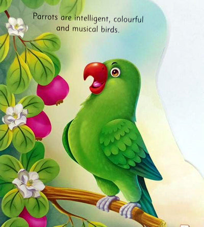 All About Me Parrot - An Informative Book For Kids