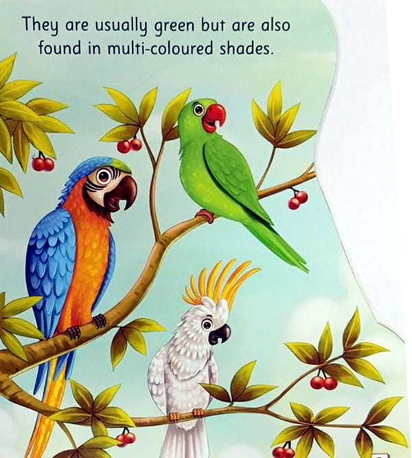 All About Me Parrot - An Informative Book For Kids