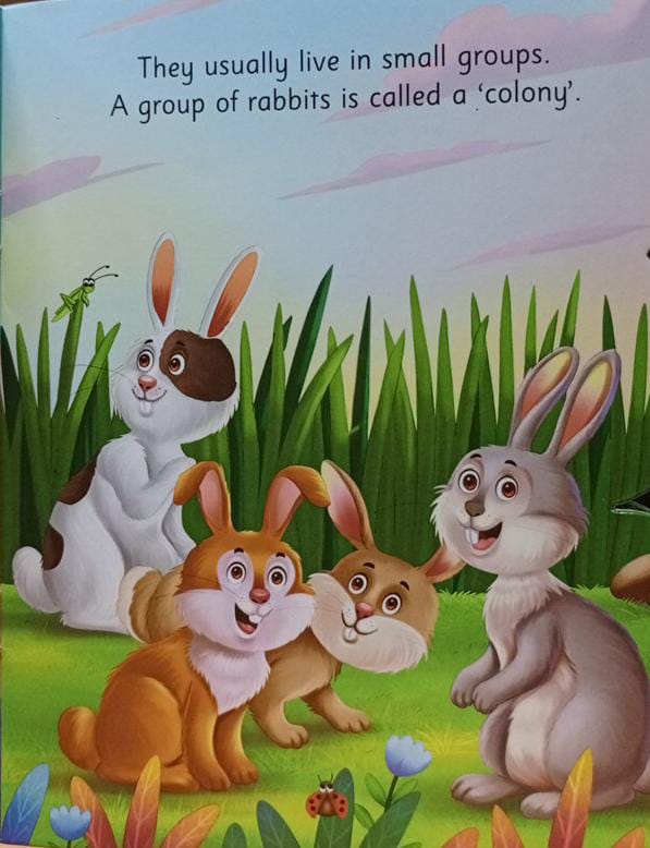 All About Me Rabbit - An Informative Book For Kids