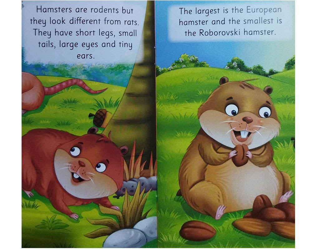 All About Me Hamster - An Informative Book for Kids