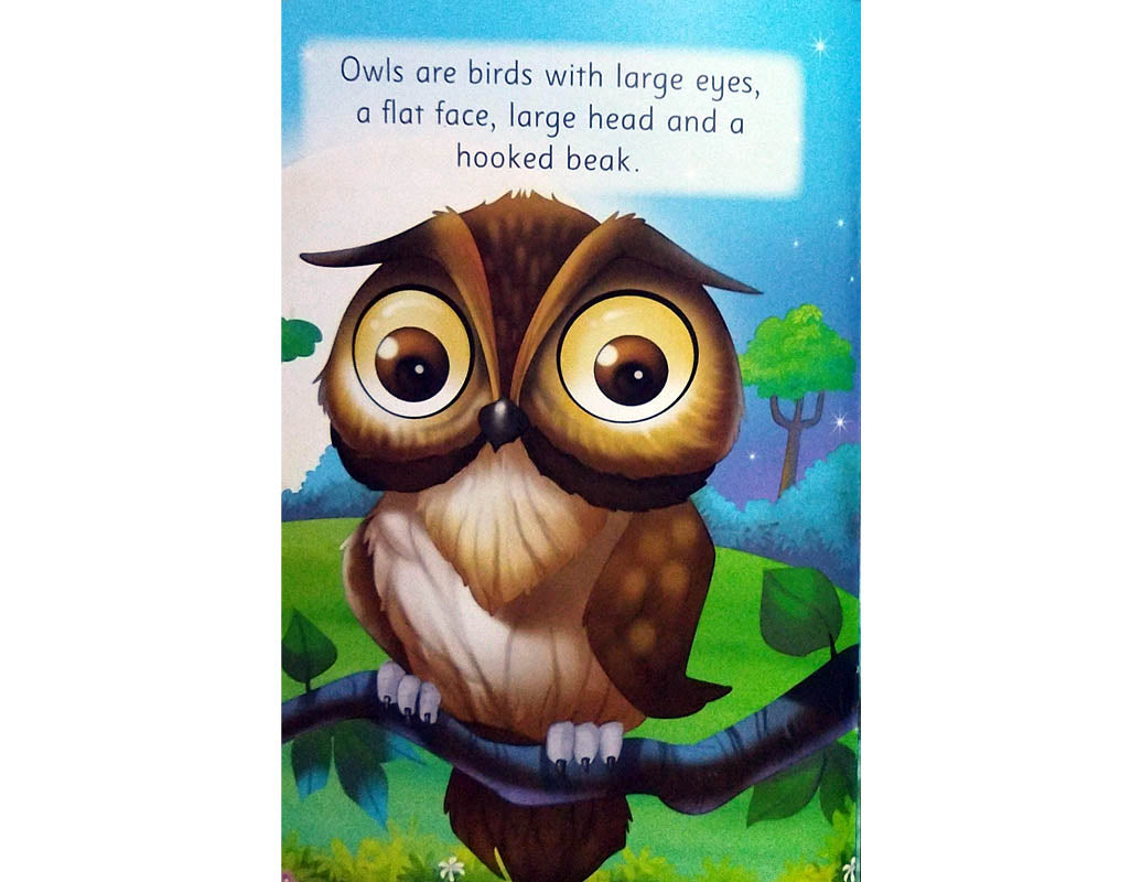 All About Me Owl - An Informative Book for Kids