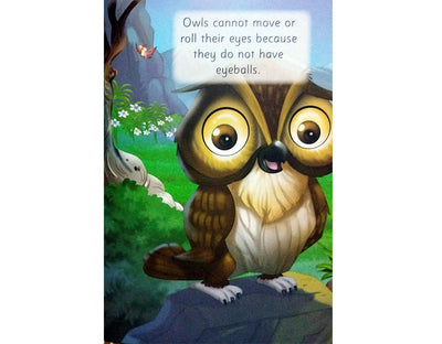 All About Me Owl - An Informative Book for Kids