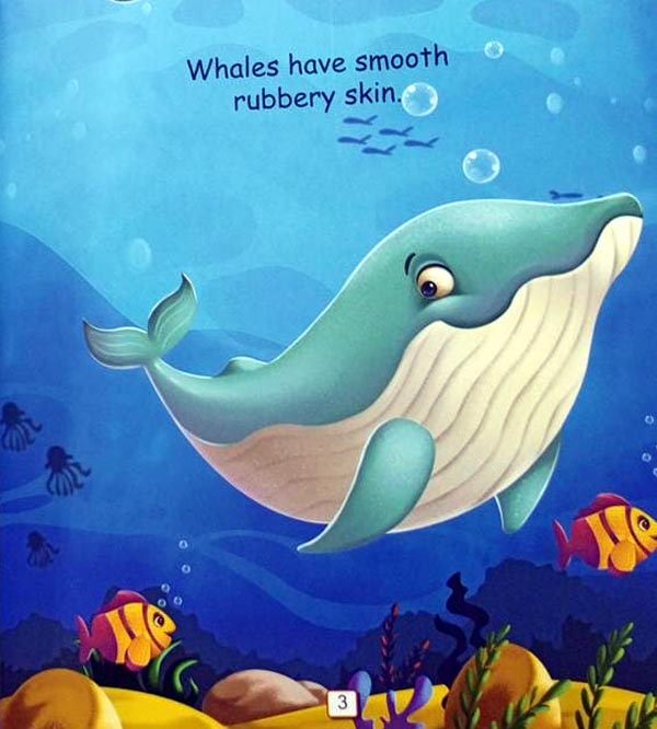 I Am A Blue Whale - An Informative Book for Kids