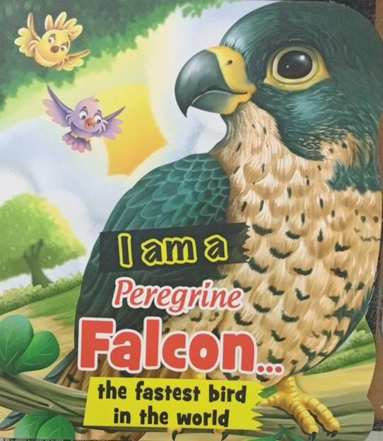 I Am A Peregrine Falcon