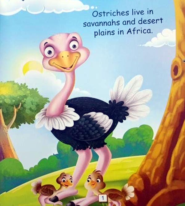 I Am An Ostrich - An Informative Book for Kids